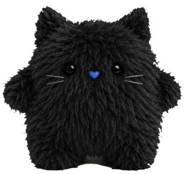 Kalli, a small fuzzy black cat